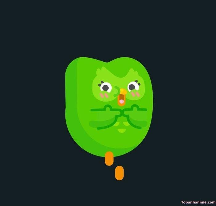 duolingo meme sợ