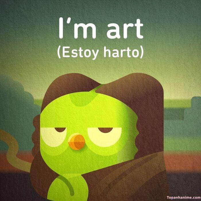 duolingo meme style meme