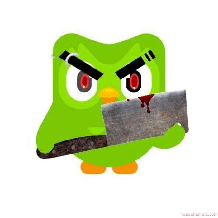 duolingo meme vibe đe dọa vui