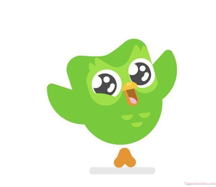 duolingo meme vibe internet