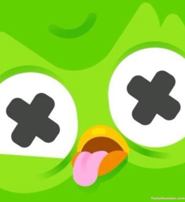 duolingo meme vibe troll nhẹ