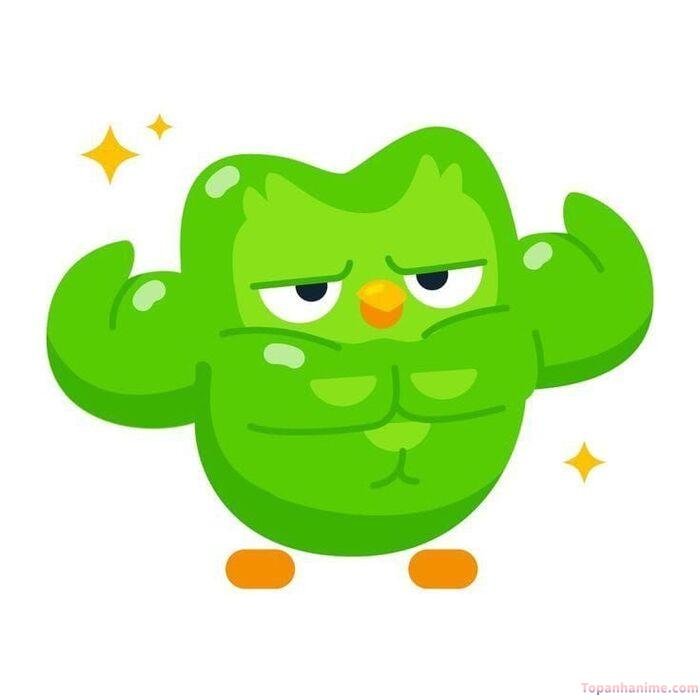 duolingo meme