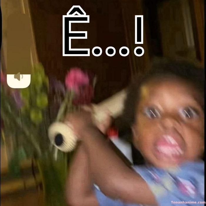 ê meme hài hước