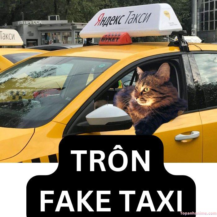 fake taxi meme troll