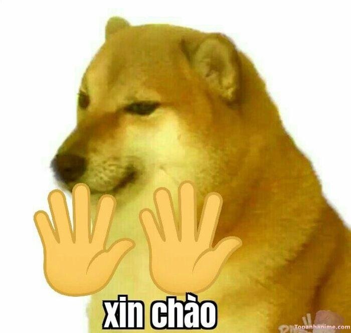 meme chào bạn bè