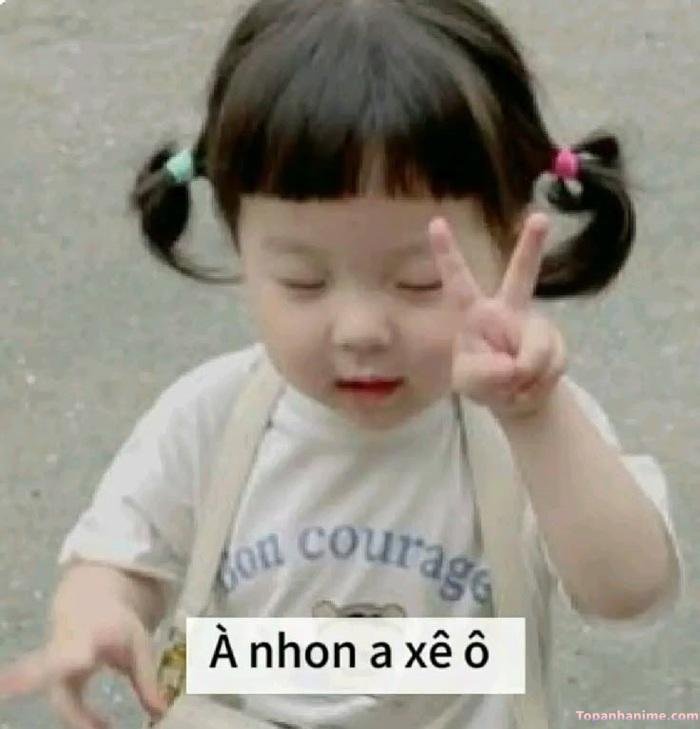 meme chào buổi sáng
