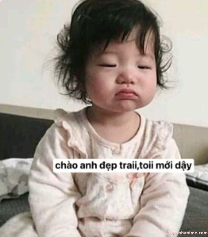 meme chào đáng yêu