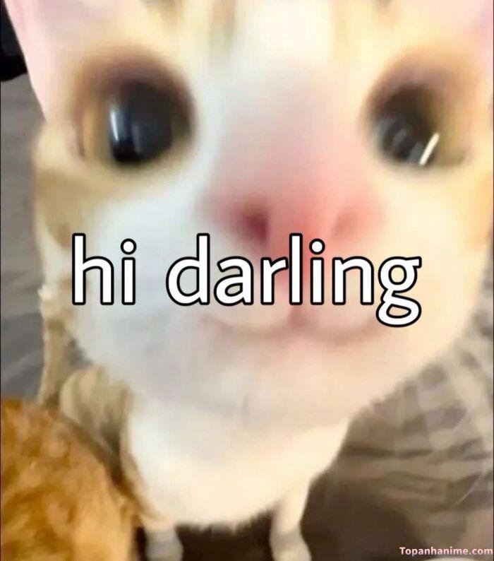 meme chào kiểu hoạt hình