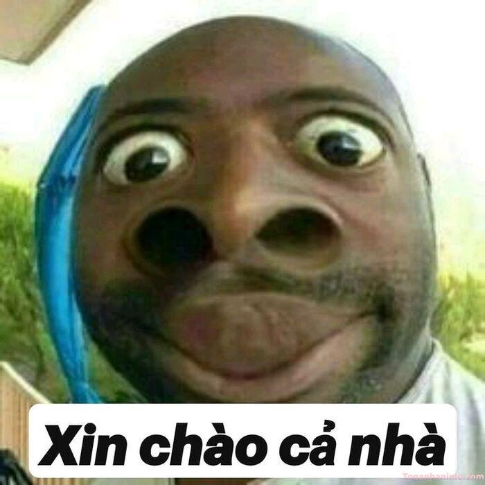 meme chào nhẹ nhàng
