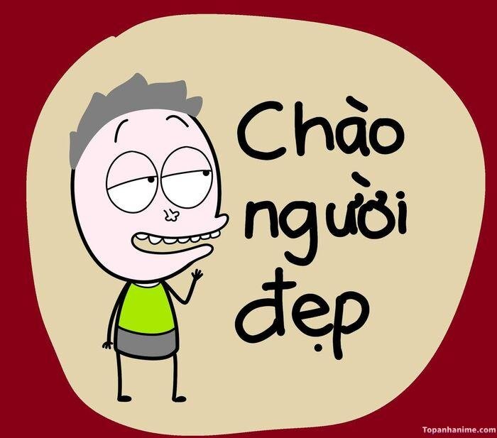 meme chào nhìn dễ thương