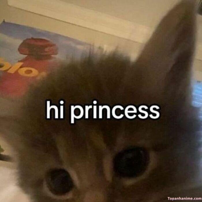 meme chào nhưng hài