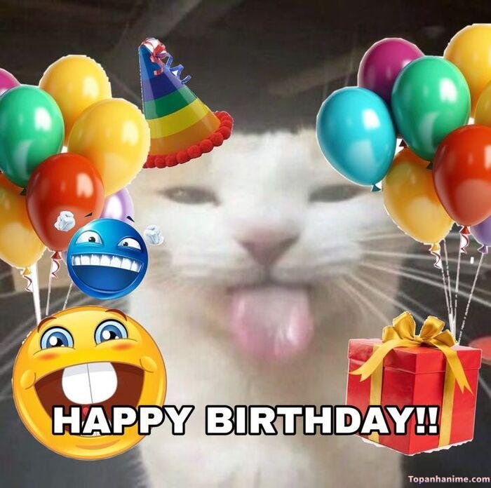 meme chúc mừng sinh nhật meow