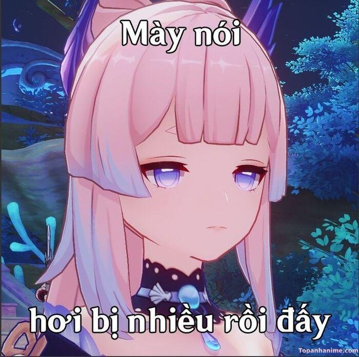 meme chửi hài hước