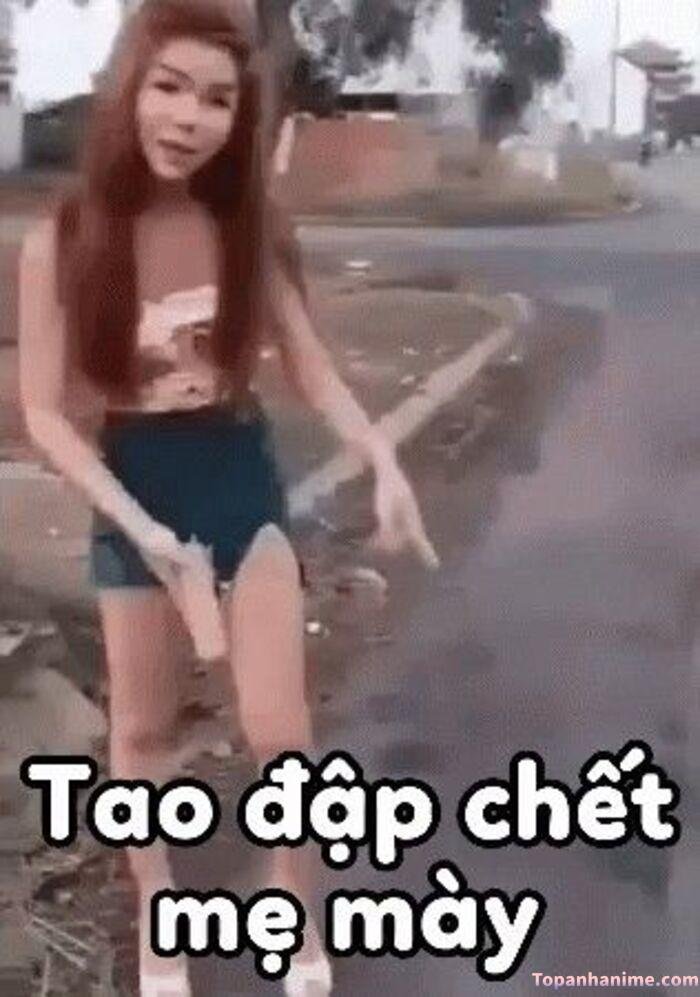 meme chửi kiểu troll