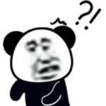 meme gấu trúc biểu cảm lố