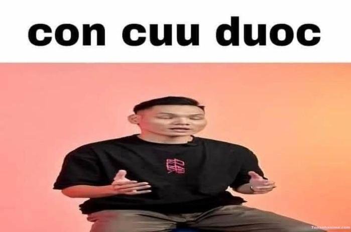 meme hết cứu kiểu bó tay