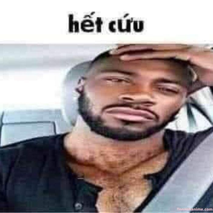 meme hết cứu kiểu không nói nên lời