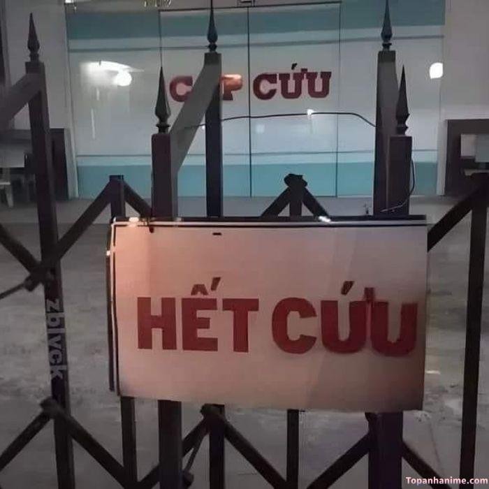 meme hết cứu nhìn cạn lời