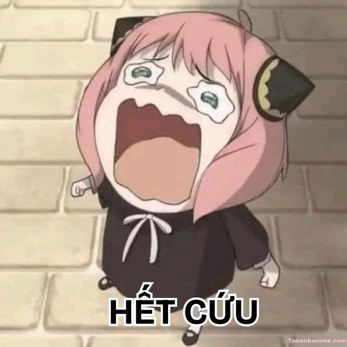 meme hết cứu nhìn lố anime