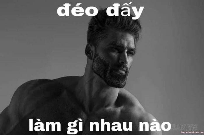 meme hết cứu style lầy lội