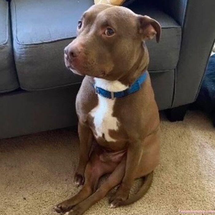 meme khinh bỉ ánh nhìn lạnh