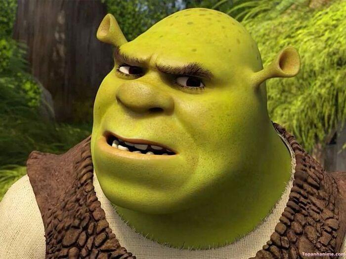 meme khinh bỉ nhìn cạn lời