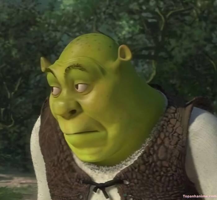 meme khinh bỉ nhìn hài hước