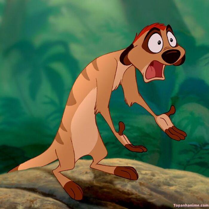 meme khinh bỉ style meme