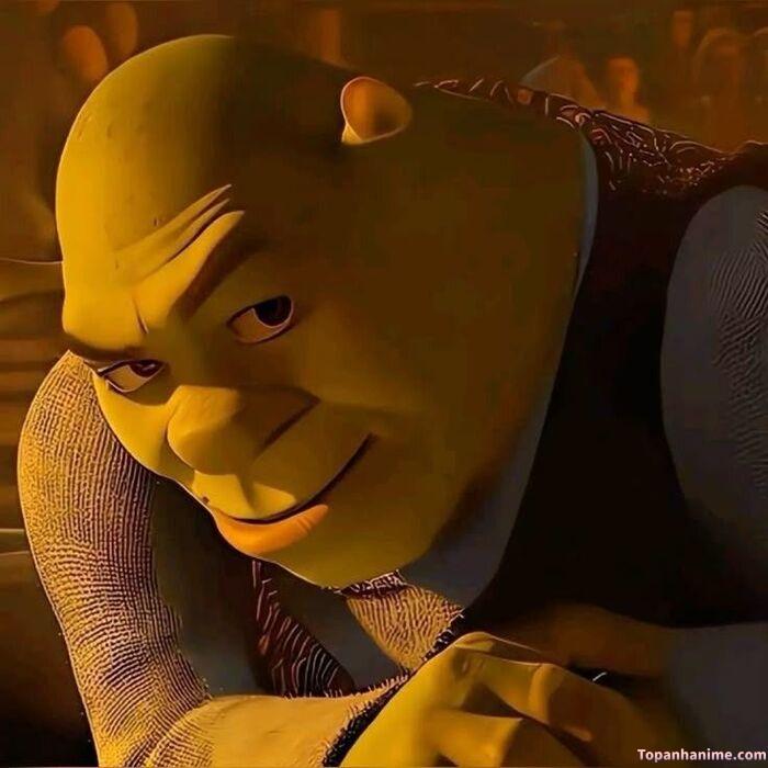 meme khinh bỉ vibe mỉa mai