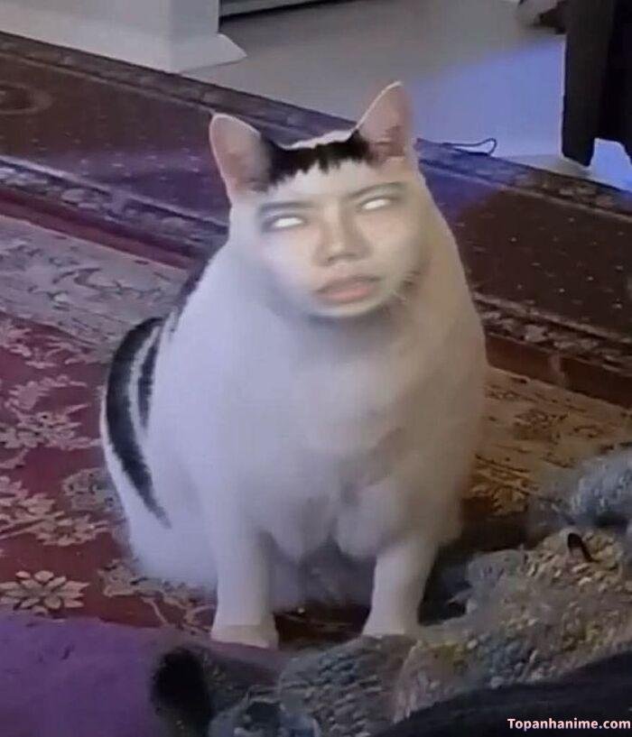 meme liếc style lầy lội