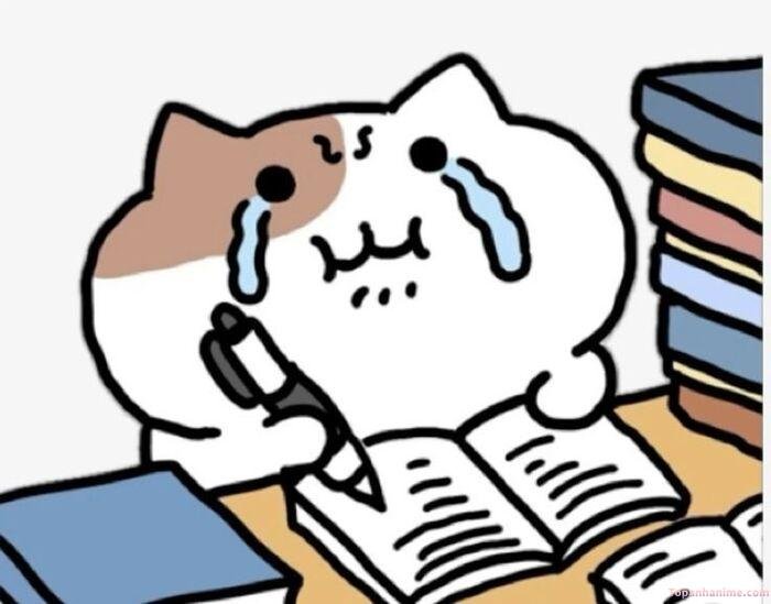 meme mệt mỏi biểu cảm lố