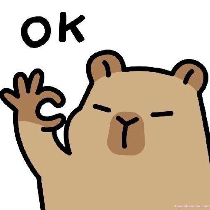 meme ok capybara