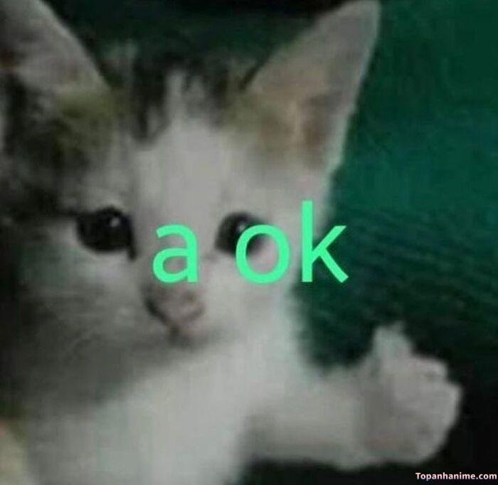 meme ok nhưng cạn lời