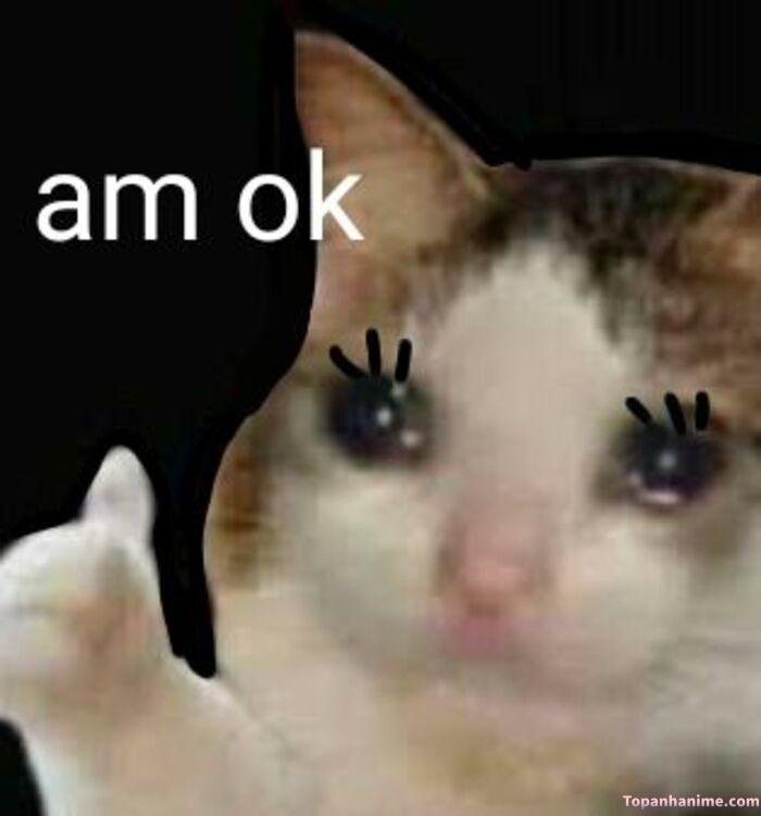 meme ok nhưng không ổn