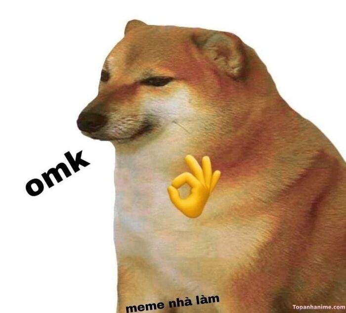 meme ok shiba