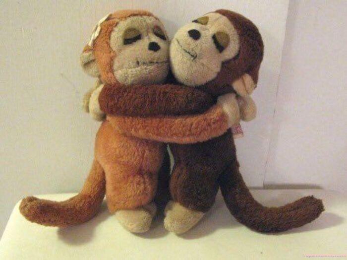 meme ôm dễ thương khỉ