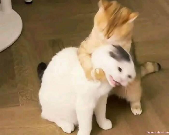 meme ôm kiểu tình cảm