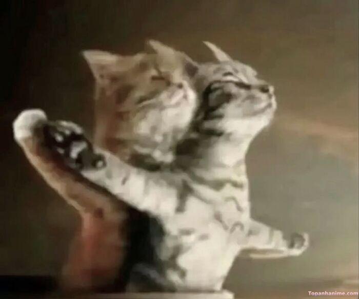 meme ôm vibe titanic