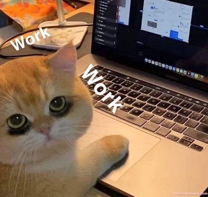 meme suy nghĩ kiểu đang load