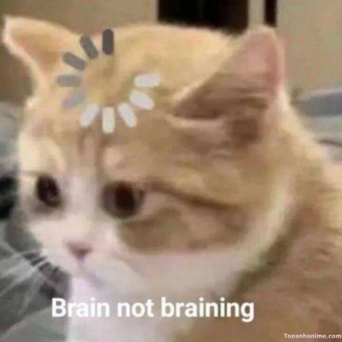 meme suy nghĩ kiểu exaggerated