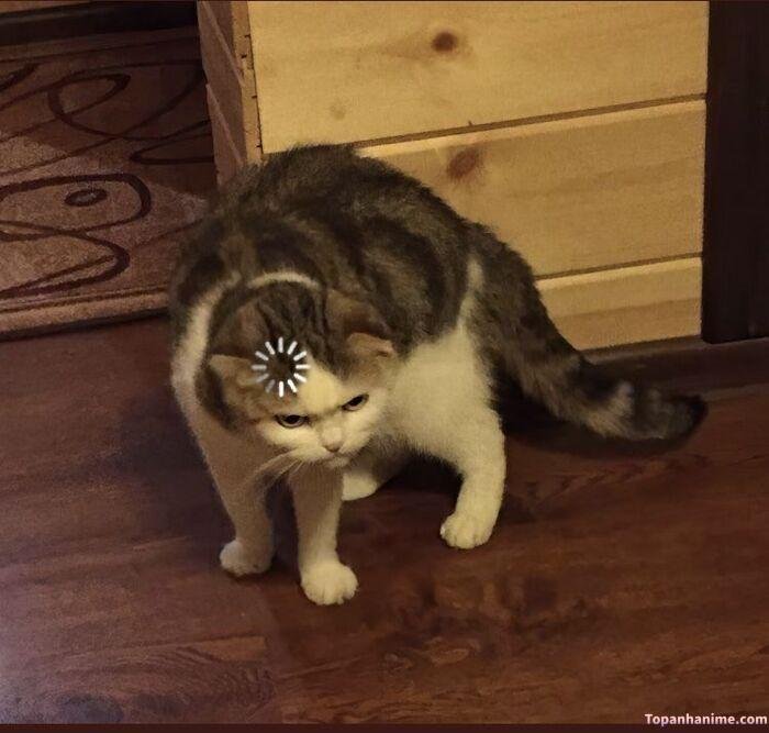 meme suy nghĩ nhìn mắc cười
