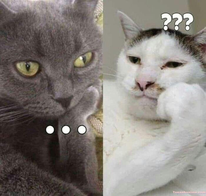 meme suy nghĩ nhìn ngơ ngác