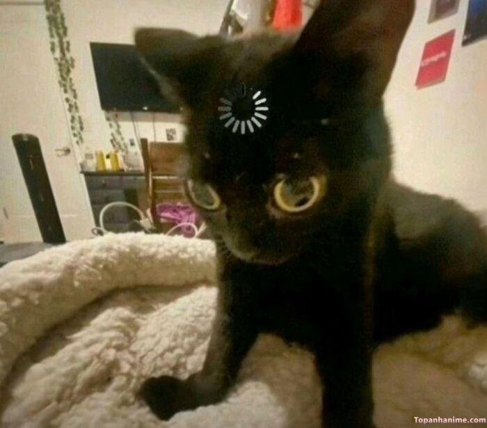 meme suy nghĩ vibe hài nhẹ