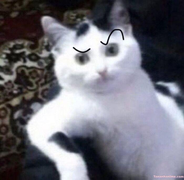 meme suy nghĩ