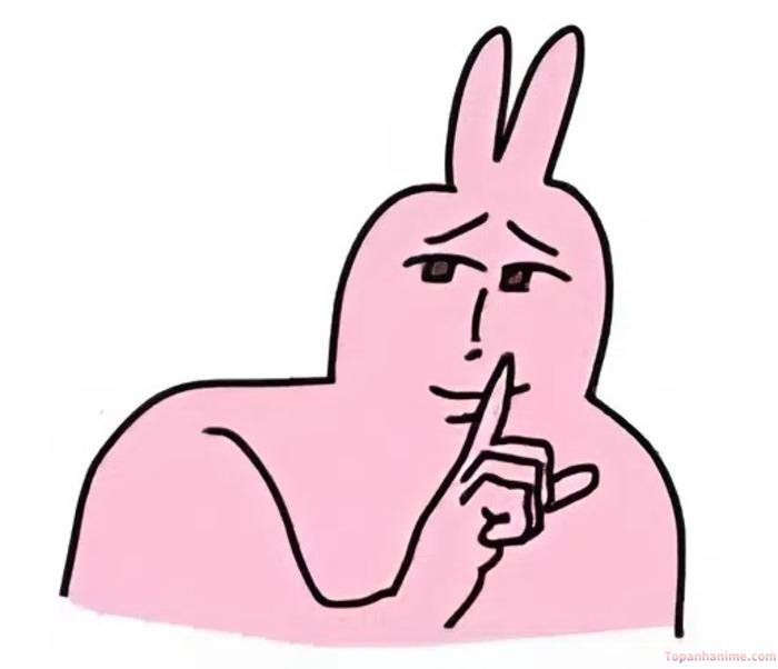 meme suỵt biểu cảm lố thỏ