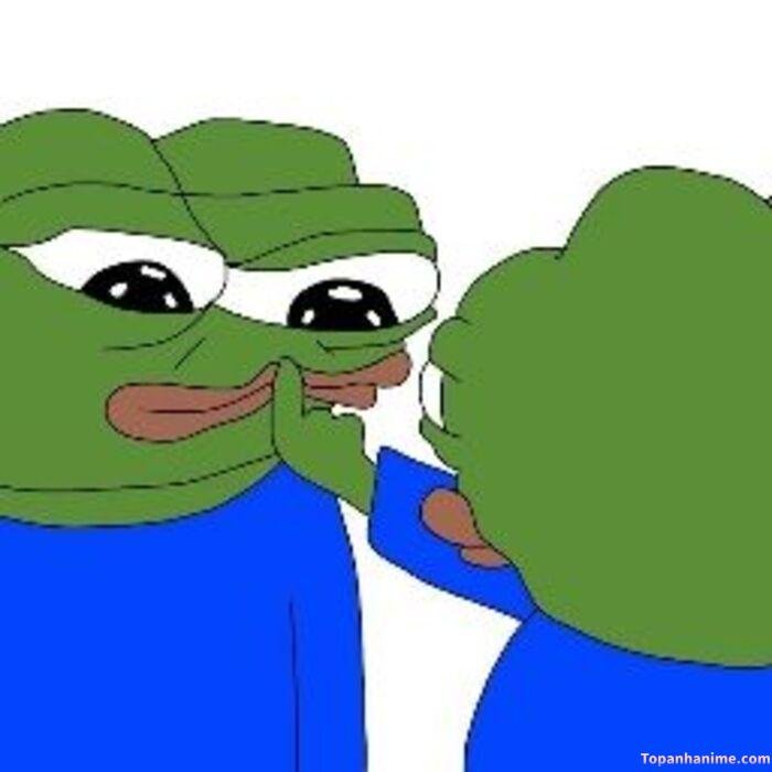 meme suỵt nhìn mắc cười frog