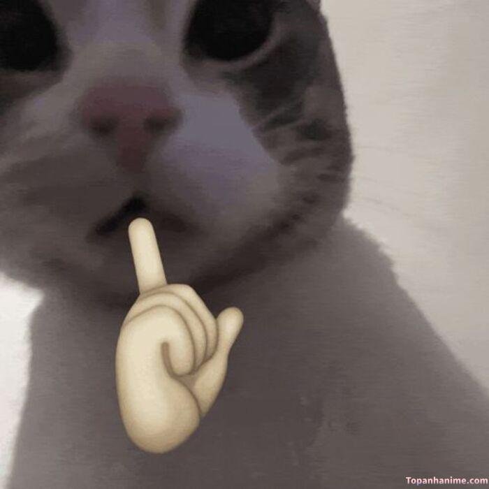 meme suỵt vibe căng
