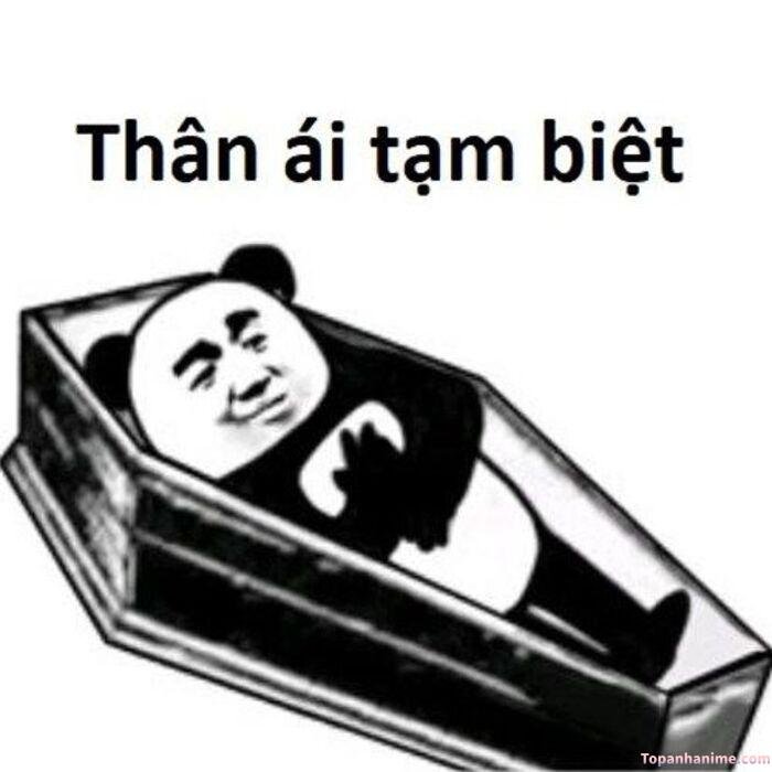 meme tạm biệt nhìn buồn cười