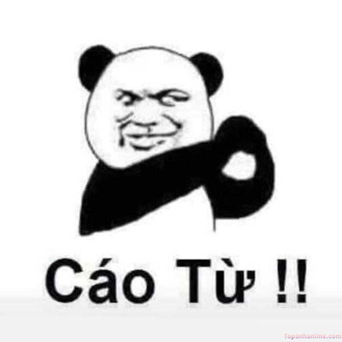 meme tạm biệt vibe internet
