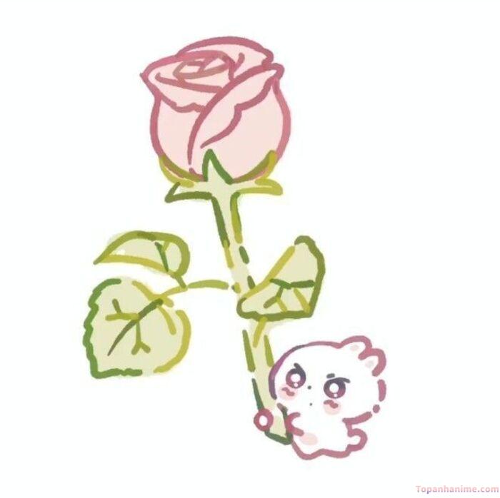 meme tặng hoa nhìn ấm áp